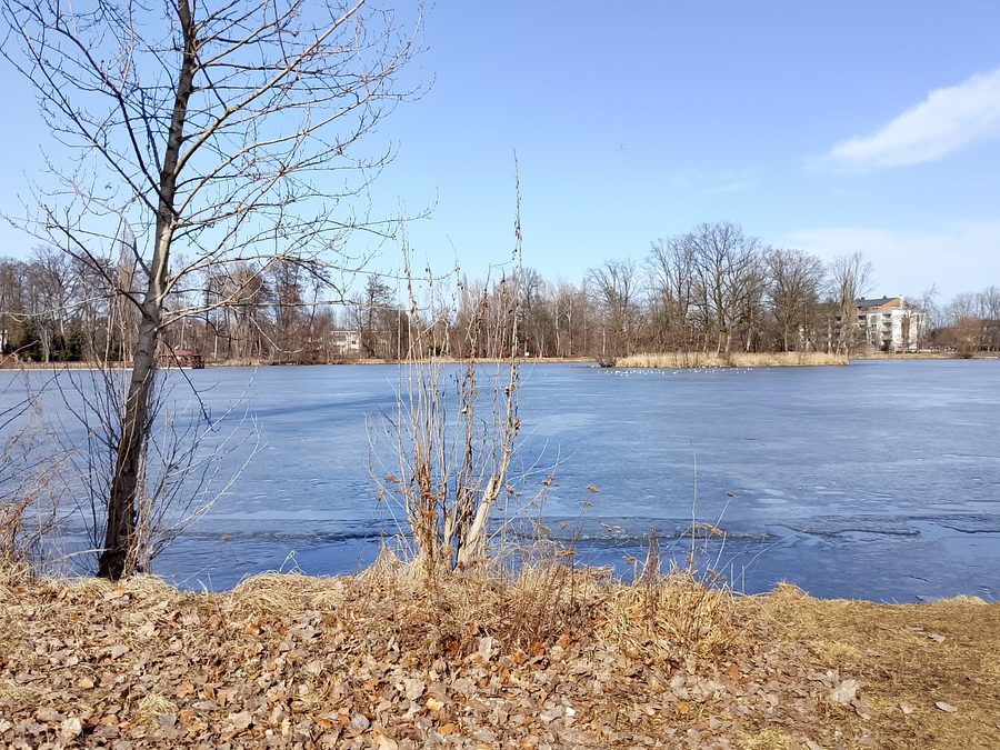 Park Miejski im. Tadeusza Kościuszki und Staw Cylkego in Zgierz