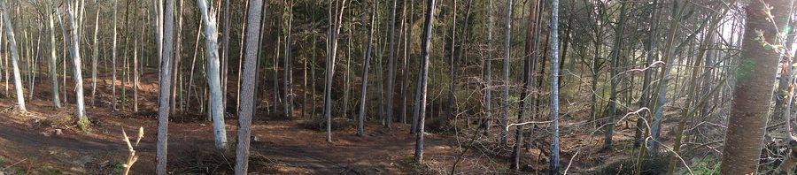 Landschaft im Naturschutzgebiet Teterower Heidberge
