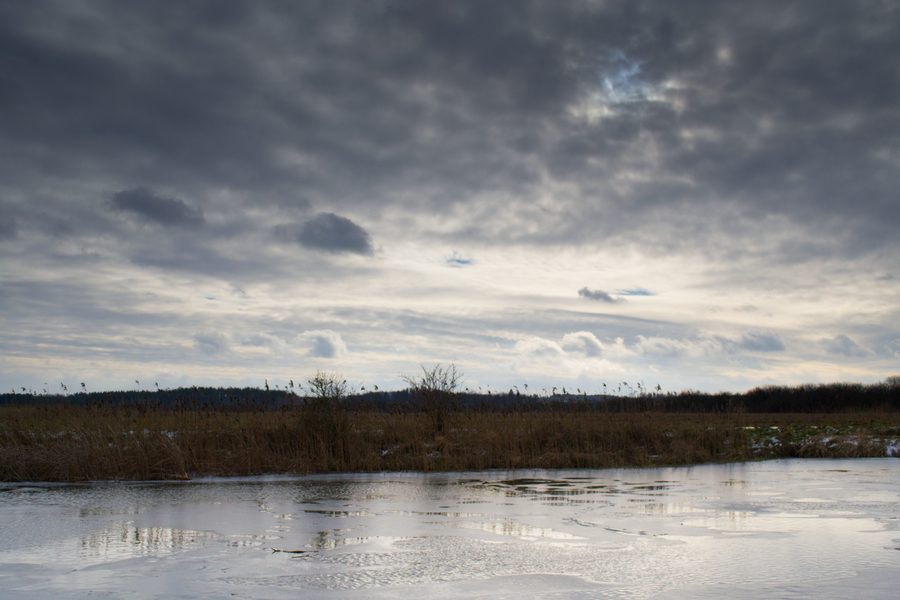 Landschaft in der Gemeinde Nakło nad Notecią in Polen