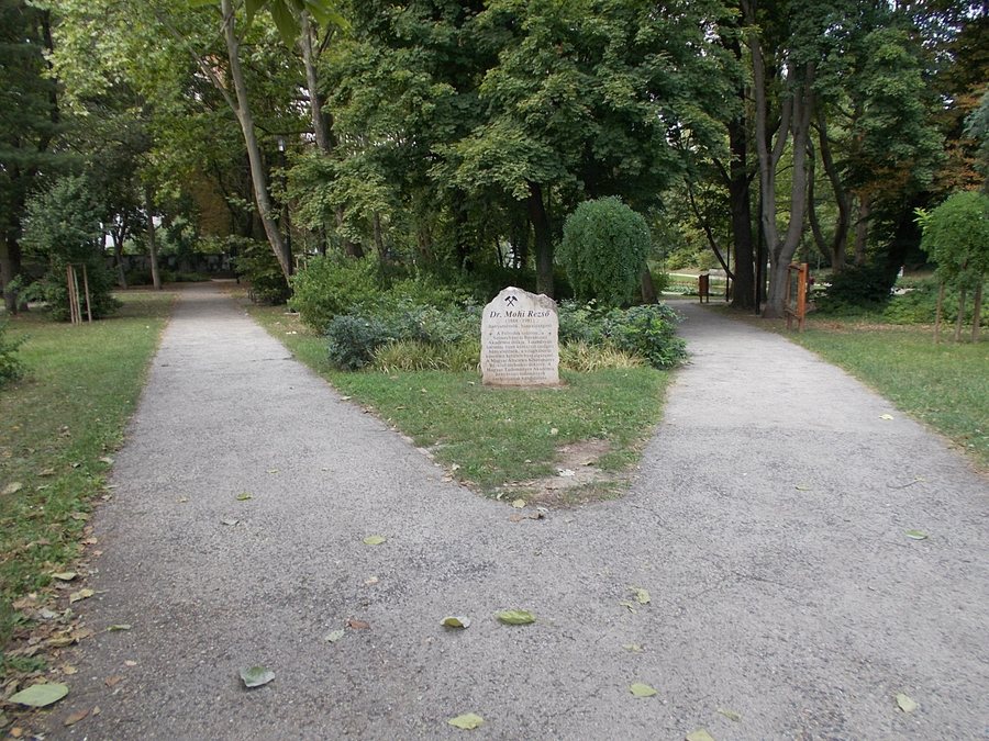 File:Liget, SO, 2021 Tatabánya-Óváros.jpg
