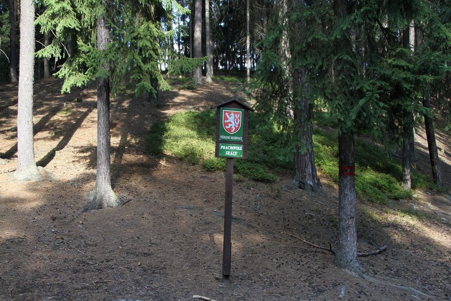 Sandsteinformationen im Naturreservat Prachovské skály in Tschechien
