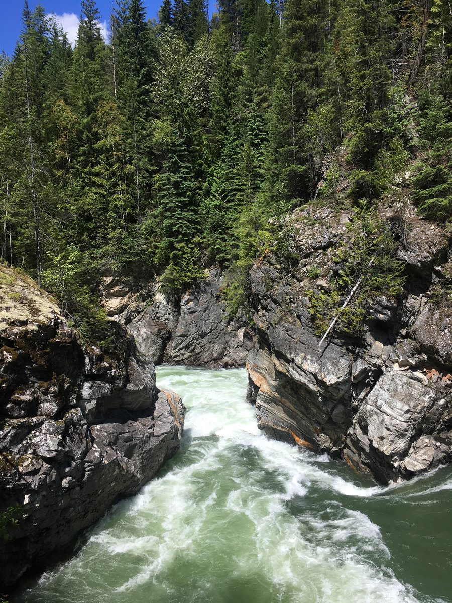 Rapids of the North Thompson River north of Avola in British Columbia
