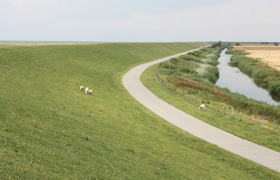 Dike in Reußenköge