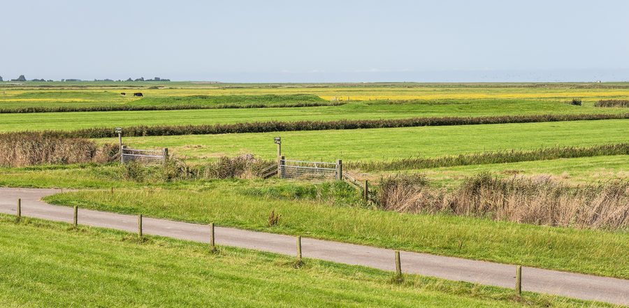 View from the sea wall towards the Wadden Sea near Marrum