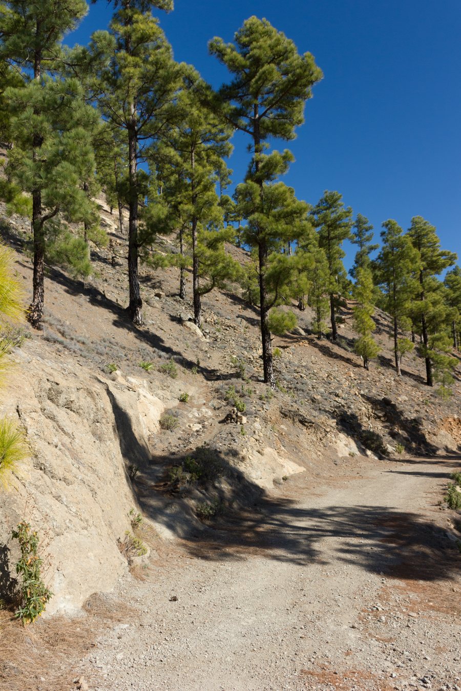 File:S-40 Turn to Degollada de Rosiana (MGK25987).jpg