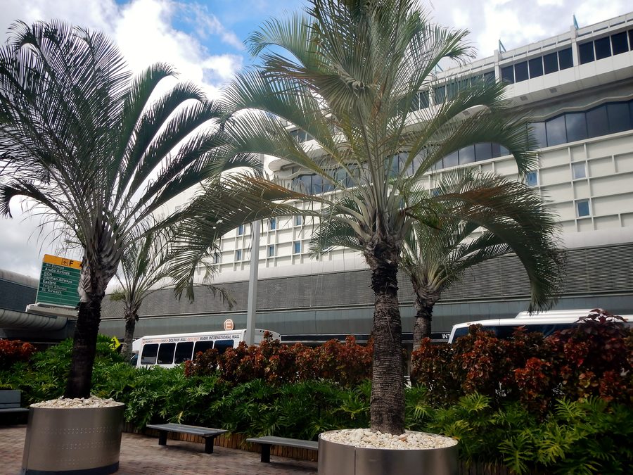 Miami International Airport terminal exterior