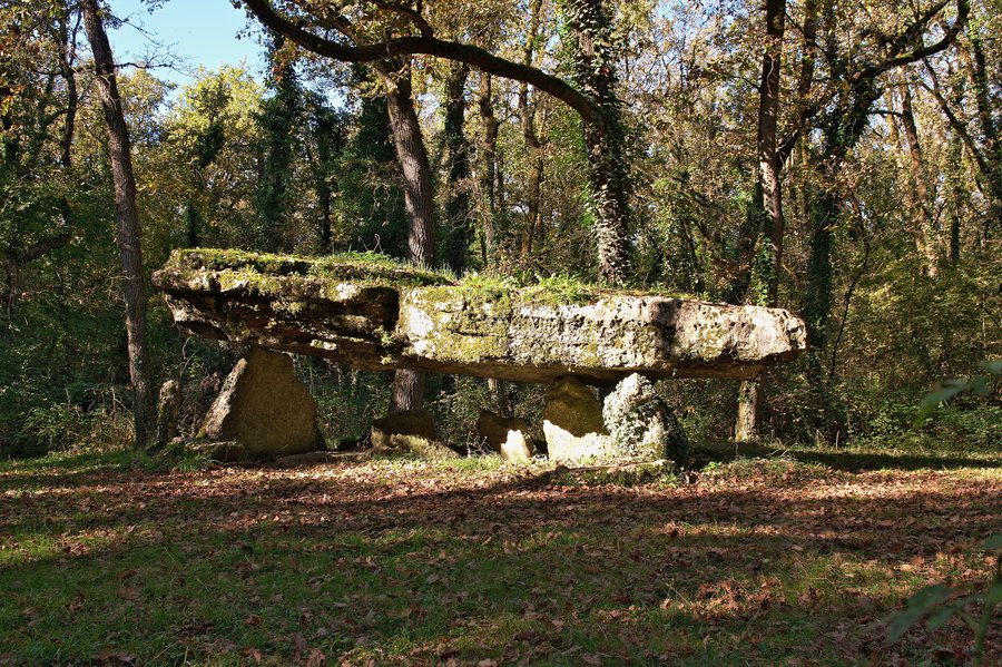 File:176 Pierre Pèse de Limalonges.jpg