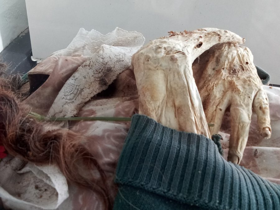 Hands and hair preserved from one of the mummies of San Bernardo in the municipal mausoleum