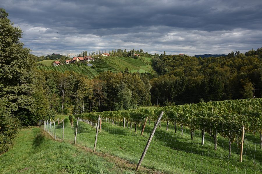 Pößnitz in der Gemeinde Leutschach an der Weinstraße