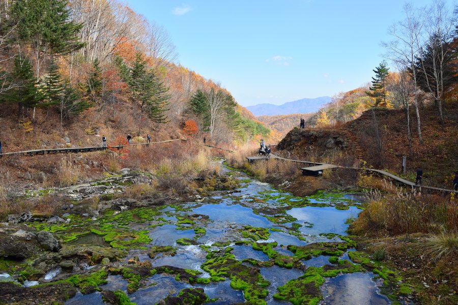 Mossy spring landscape at Chatsubomigoke Park near Kusatsu Onsen.