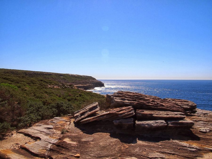 A coastal section of the Coast Track in Royal National Park.