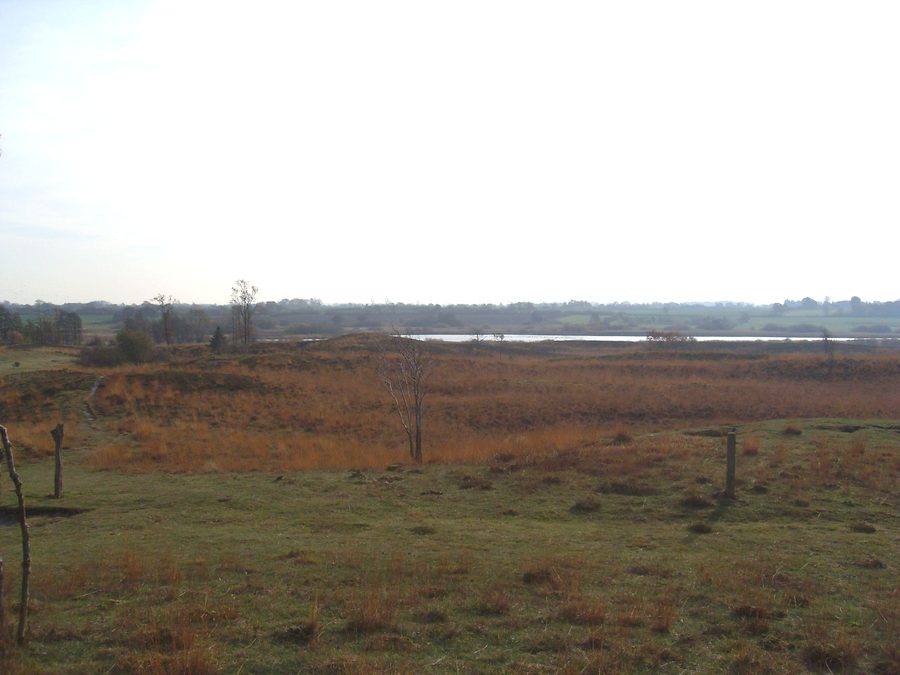 Blick von der Düne am Treßsee auf den Treßsee im Naturschutzgebiet