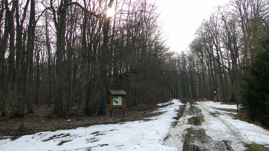 File:Nsg wittenhagen 1.jpg