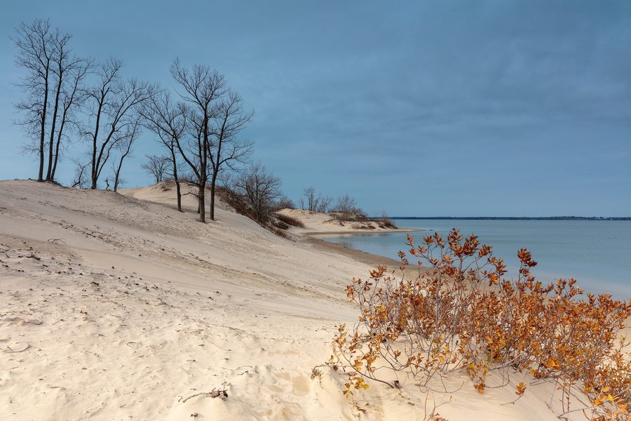 View of the Sandbanks in fall, showing dunes and foliage before snowfall.