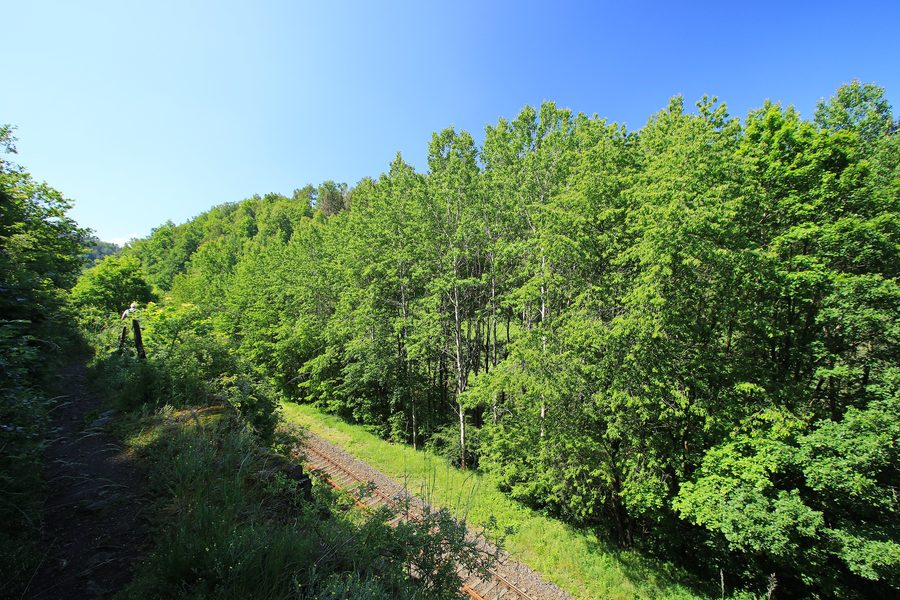 Pöhl Dam landscape conservation area with wooded banks and a low low-mountain-range horizon