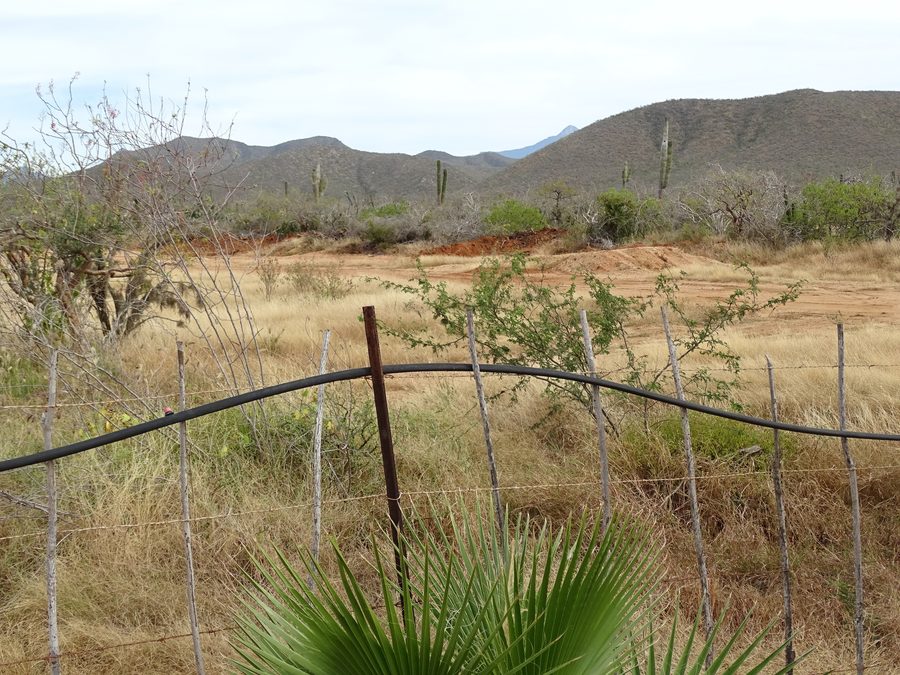 Landschaft außerhalb von Casitas El Salitral nahe El Pescadero in Baja California Sur, Mexiko