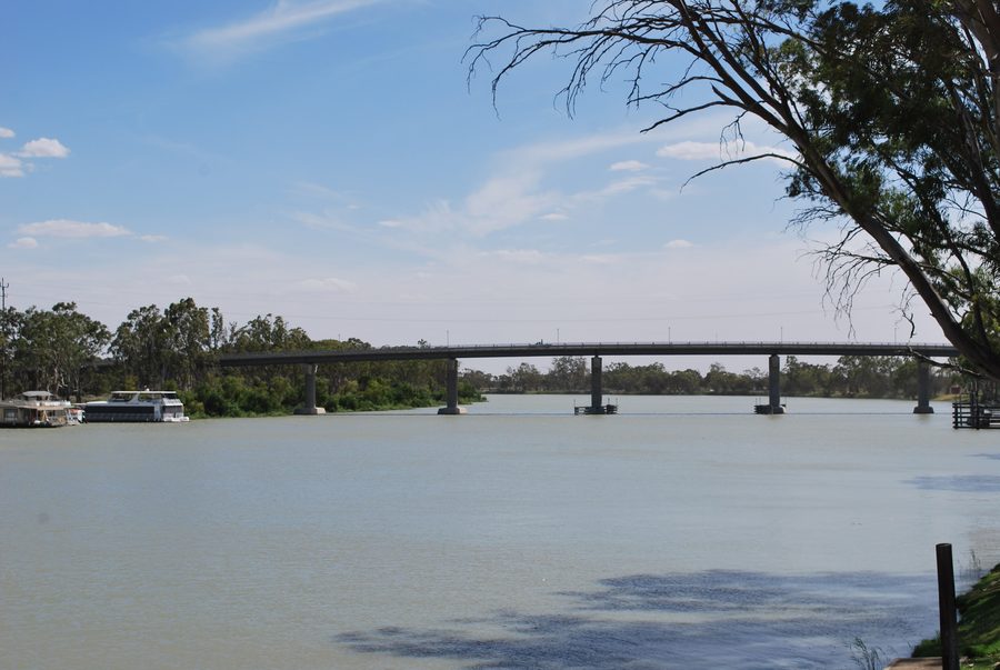 Murray River at Berri with the Berri bridge in the background