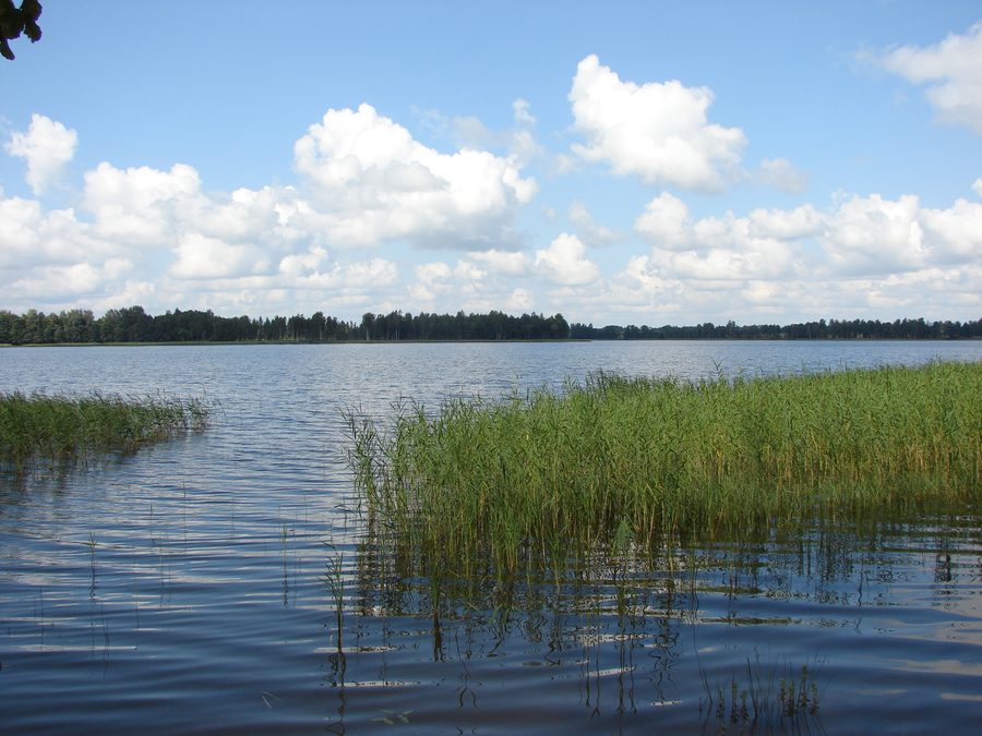 View of Lake Puša in the parish of Puša, Latvia