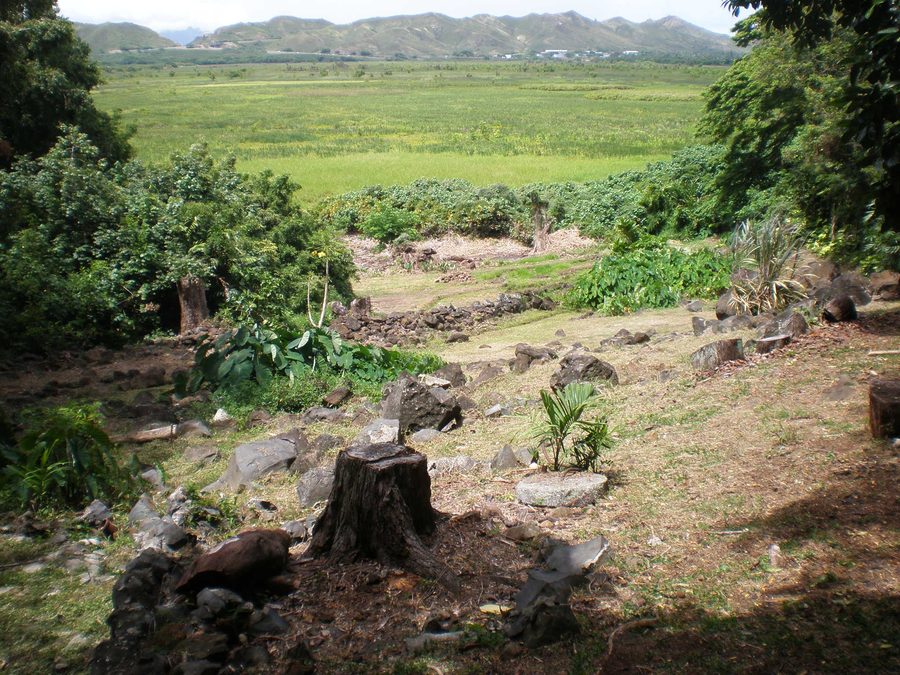 Garden view across Kawai Nui Marsh toward Ulupō Heiau in Kailua, Hawaii