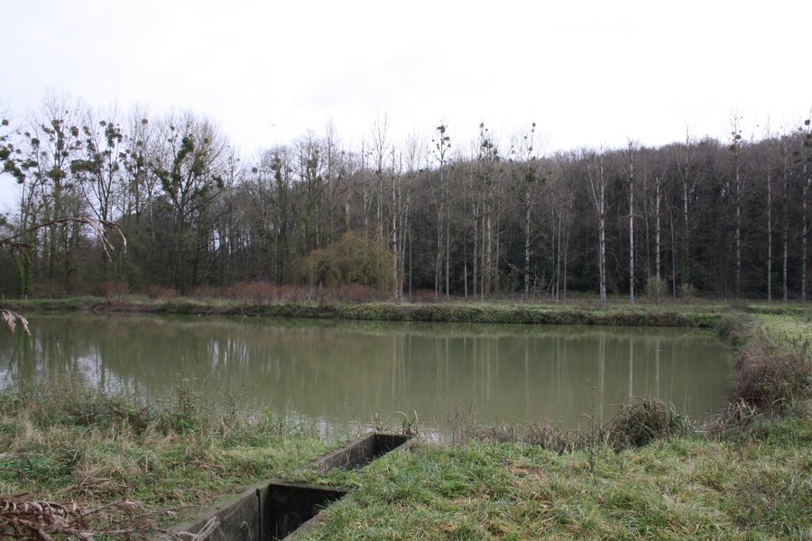 File:Béruges Bassin épuration.JPG