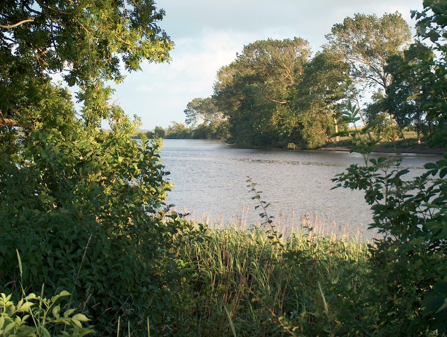 The Eider near Süderstapel with riverside landscape