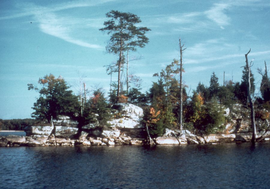 Laurel River Lake in Kentucky mit bewaldeter Uferlandschaft