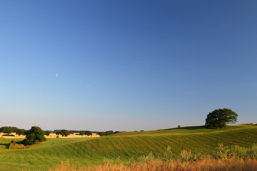 File:Gottesgabe (4814379247).jpg