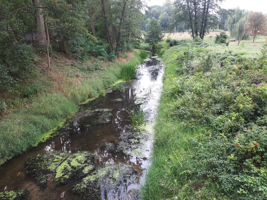 Sama river in Szamotuły