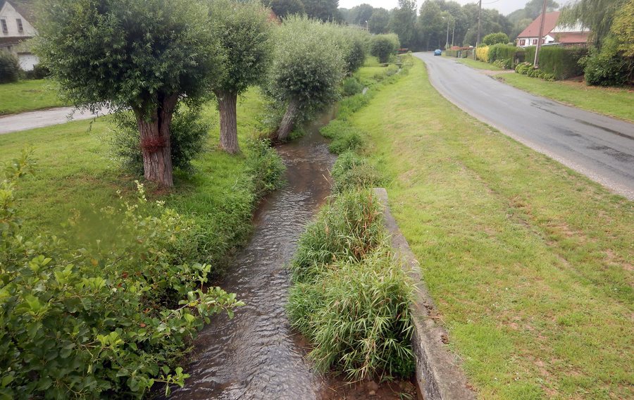 File:Vue de la rivière Créquoise à Royon aout 2017 02.jpg