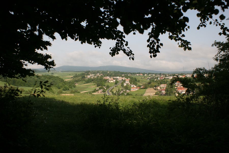 File:Borzavár látképe az erdő széléről.jpg