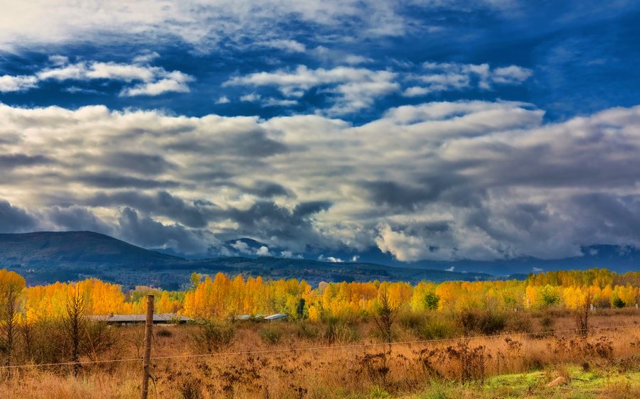 File:Paisaje en Almázcara (49127759598).jpg
