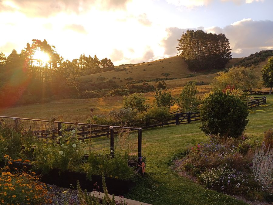 Countryside near Dairy Flat at sunset