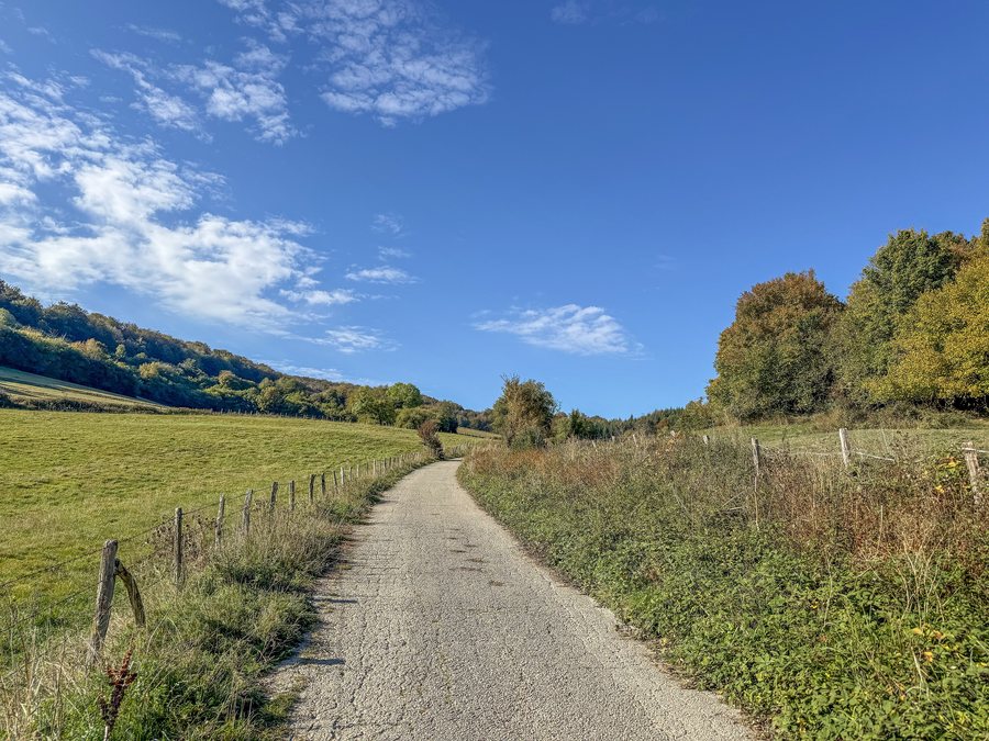 File:Countryside near Erro, Navarre, Spain, along the Camino de Santiago.jpg