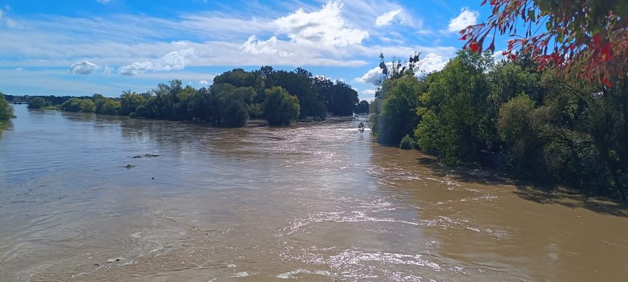 Confluence of the Osobłoga and the Oder in Krapkowice