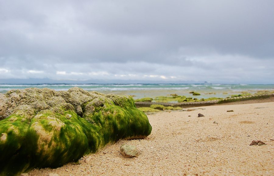 Basdaku Beach with sandy beach in Moalboal on Cebu