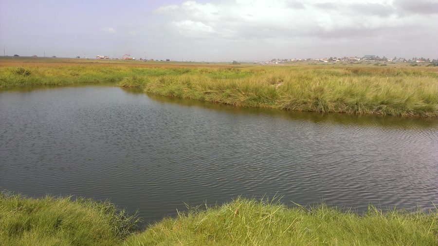 Sakumono Ramsar Site wetland along the Tema Beach Road in Ghana