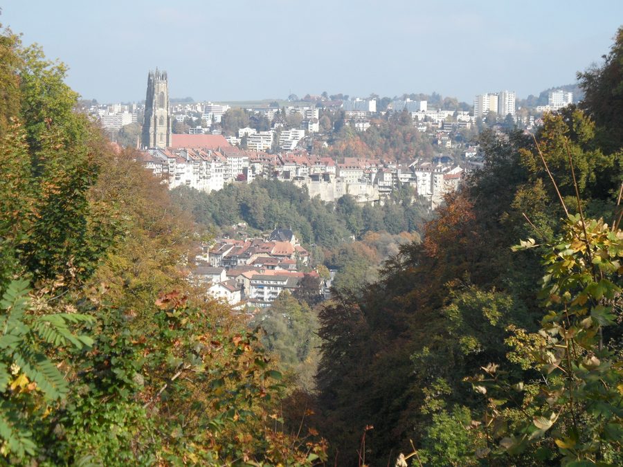 Fribourg from the Plateau de Pérolles