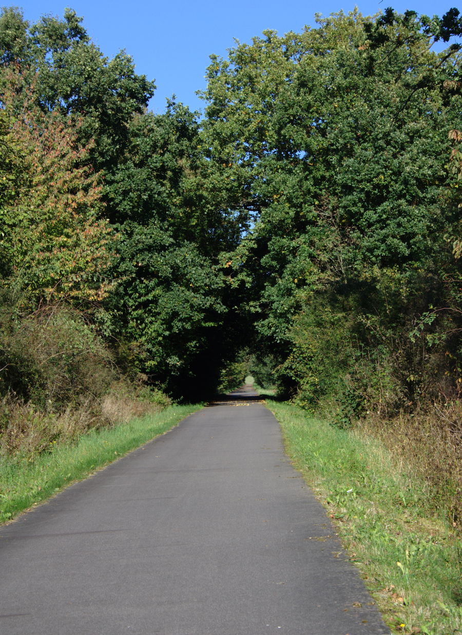 Vulkanradweg on the former railway line between Ilbeshausen and Herbstein
