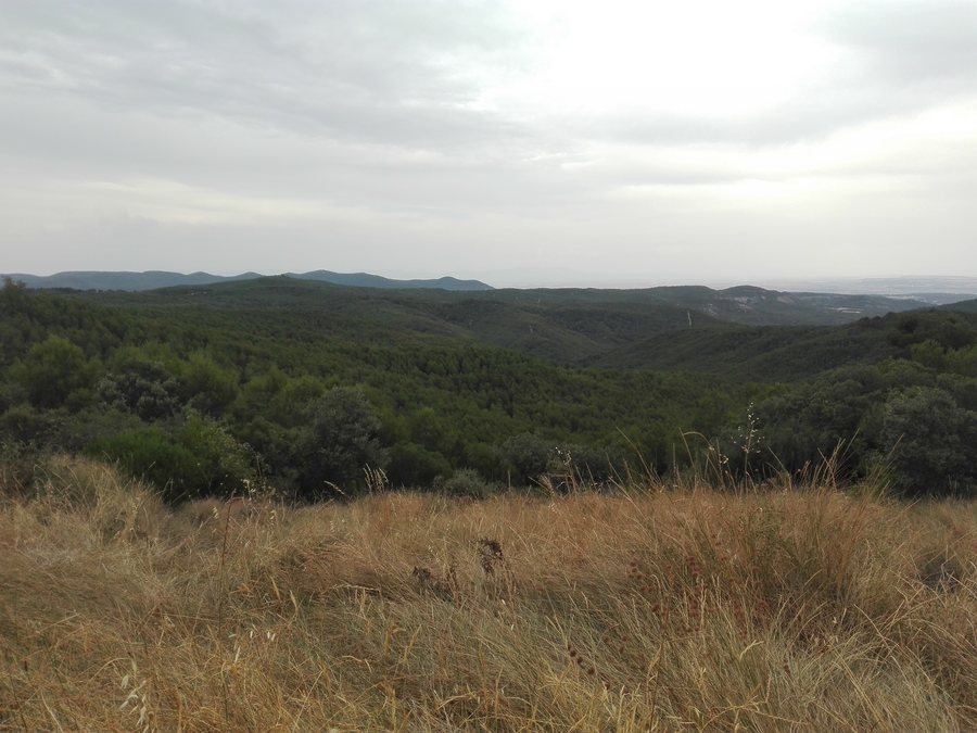 File:Montes de Zuera.jpg