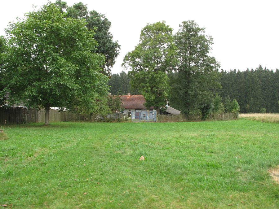 Haus und Bäume in Jelenov bei Čáslavsko