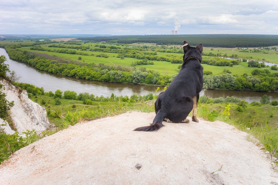 View of the Don from a viewing platform in Voronezh Oblast