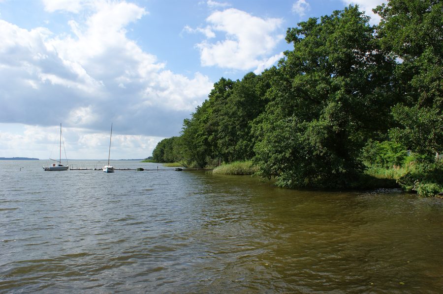 Uferlandschaft am Miedwie-See bei Morzyczyn in Westpommern