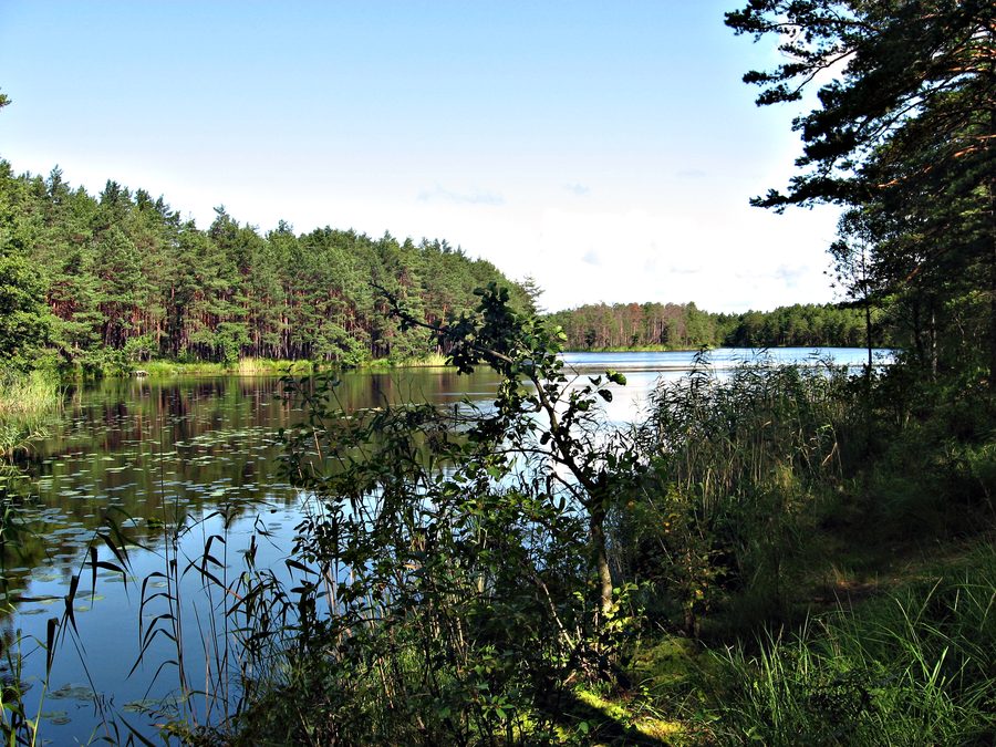 Lake Ziemeļu Garezers in Lilaste, Latvia