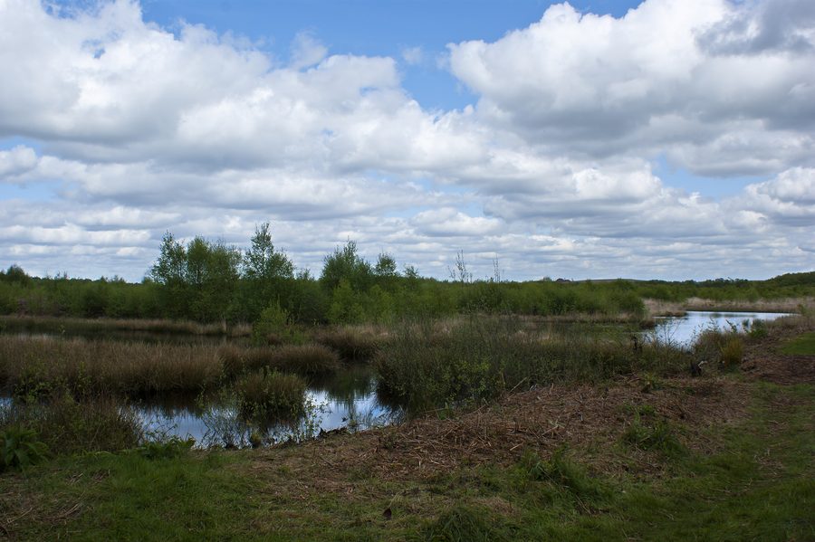 The mossland from the hide at Risley Moss nature reserve