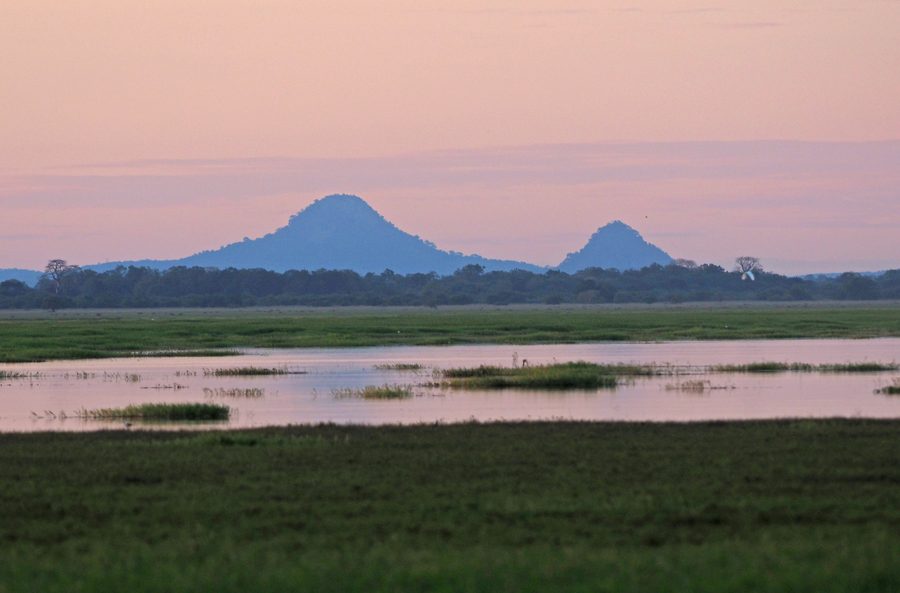 Mount Gorongosa in Gorongosa National Park in Mozambique