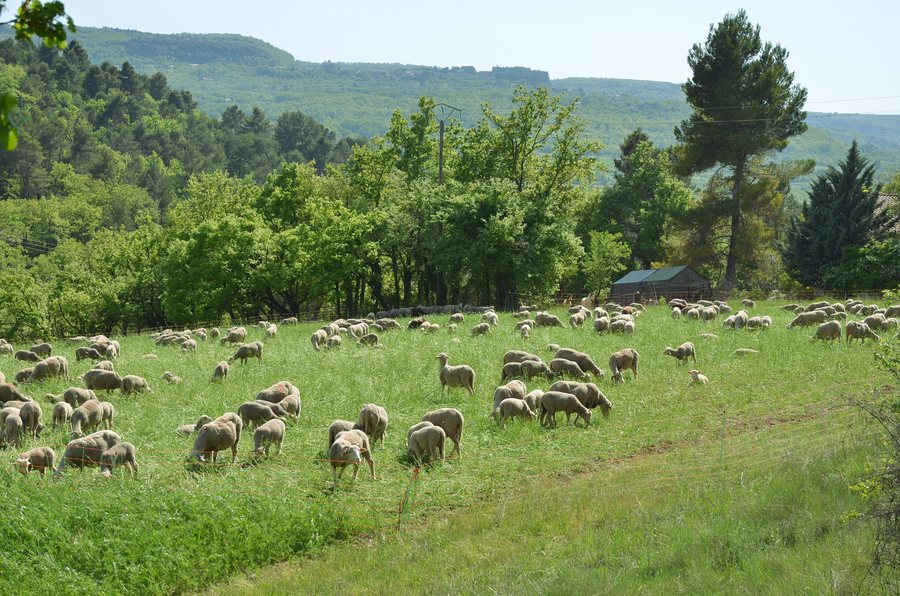 File:84400 Rustrel, France - panoramio.jpg