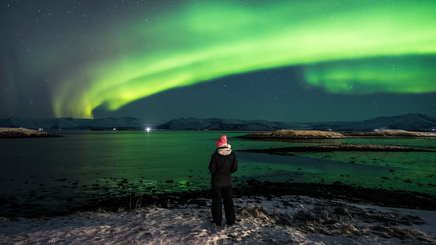 Aurora borealis over a snow-covered landscape near Höfn in Iceland.
