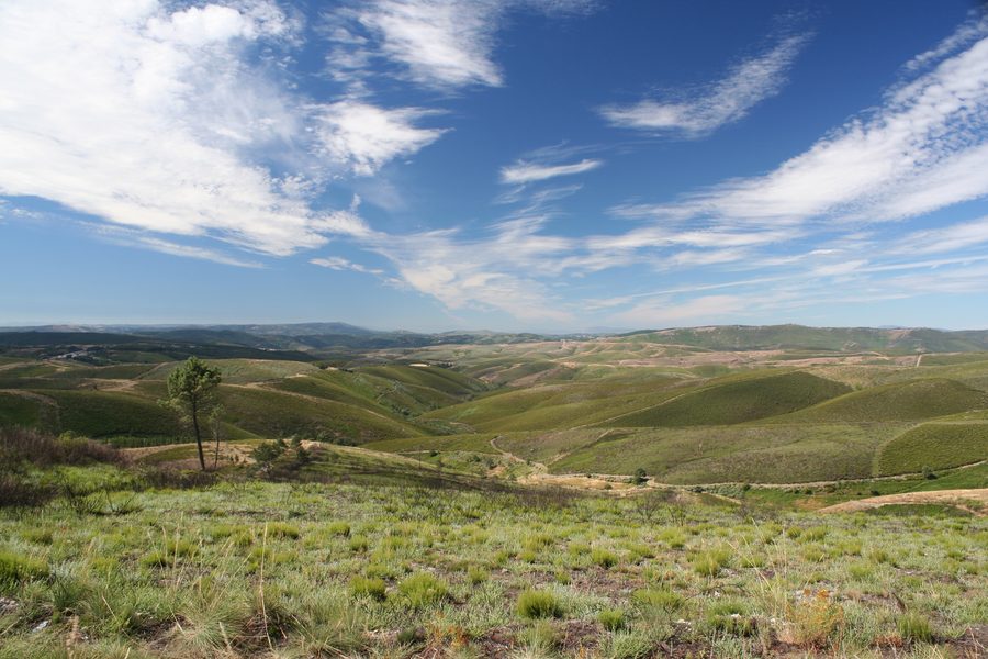 Landscape between A Gudiña and Vilariño de Conso, in Ourense