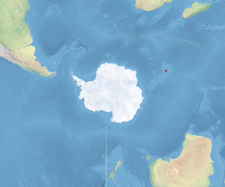 Map of the tundra ecoregion of the islands in the southern Indian Ocean in a projection from the South Pole.