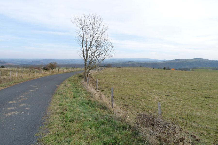 Straße nach Charmensac durch Weideflächen auf dem Cézallier